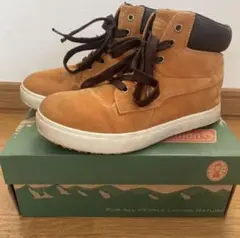 Item thumbnail for item d2cc387b-b564-487f-88dd-225e2837b961