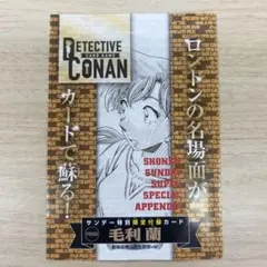 限定　名探偵コナンカードゲーム　毛利蘭　サンデーS付録プロモ　TCG 新品未開封
