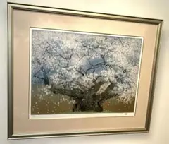 中野嘉之『まゆみと柄長』日本画【真作保証】 絵画 楽天市場】絵画 中野嘉之 日本画 『まゆみと柄長』 木 果実 鳥