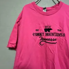 アメリカ古着　ヴィンテージ　希少　ビッグサイズ　Tシャツ　アート　レトロ 刺繍