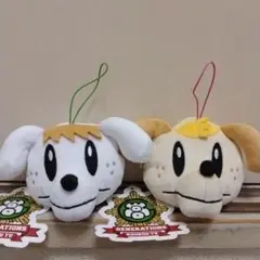 GENERATIONS　KOUKOU　TV　フェイスポーチ