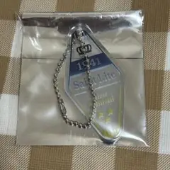 三冠馬PVCモーテルキーホルダー　セントライト