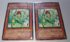 ナチュル・ローズウィップ　DT04　2枚セット②