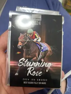 【超限定】JRA-VANステッカー2024年ver(全11種) コンプセット 2025年最新】JRA_VANステッカーの人気アイテム - メルカリ