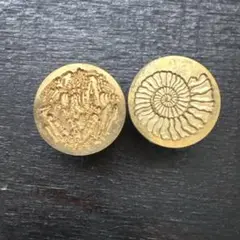 シーリングスタンプ　化石　まとめ売り