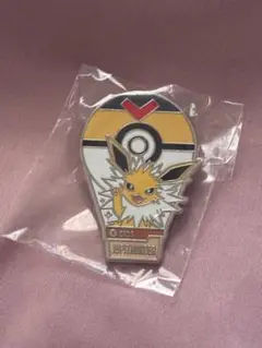 ロッテワールド　サンダース　ピンバッジ