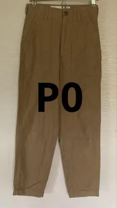 ザシンゾーン　P0サイズ