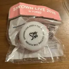 2025 SMtown ペンライト 新品