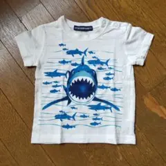 リトルベアークラブ Tシャツ 80cm