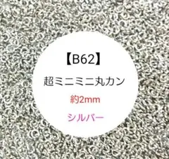 【B62】♥大量♥超ミニミニ丸カン❄約2mm❄シルバー