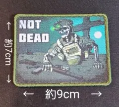 ウクライナ軍 義勇兵 NOT DEAD スケルトン兵士 ミリタリーワッペン