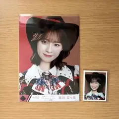 Item thumbnail for item ddbd05b6-0b78-4ea7-8ff5-740a01ed4536