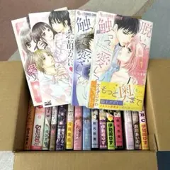 恋愛漫画セット 触れたい愛 他