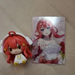 五等分の花嫁 五月 ちょこのっこ ウエハース