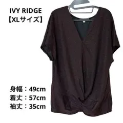 Item thumbnail for item 65f572e5-613a-40c1-8c4e-c646b136ed1c