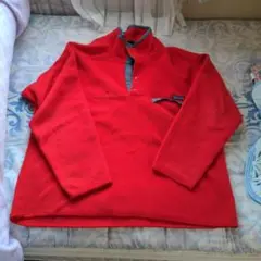 パタゴニア シンチラスナップTEE