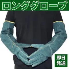 ペットグローブ 牛革 保護手袋 耐熱手袋 噛みつき防止 ガーデニング BBQ