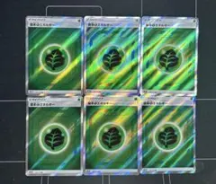 ポケカ 基本草エネルギー SR 6枚セット ※匿名発送