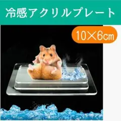ハムスター 小動物 ひんやり 冷感 プレート アクリル 洗える クールマット