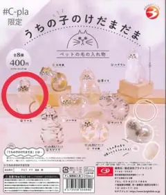 うちの子けだまだま　シャム ガシャポン ガチャガチャ