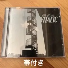 VITALIC/オーケー・カウボーイ