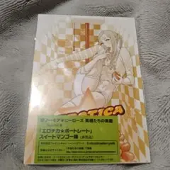 Xbox360版ノーモアヒーローズ特典 エロチカ★ポートレート