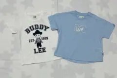 即購入OK バディーリー　半袖　Tシャツ　ベビー　　90cm 新品未使用