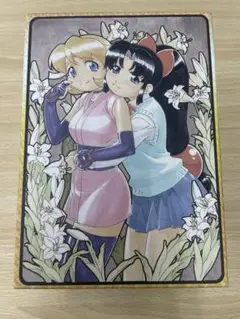 DVDボックス アニメ ニニンがシノブ伝 ※ディスク・付属品欠品あり