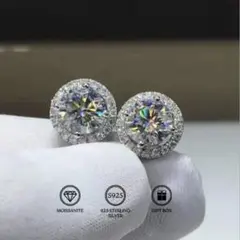 Item thumbnail for item 5f41eaec-00d3-4511-8317-81606f283619