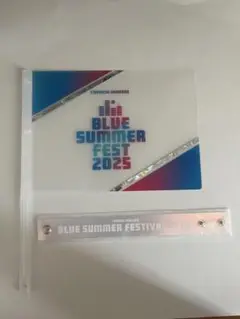BLUE SUMMER FEST フラッグ リストバンド　中日ドラゴンズ