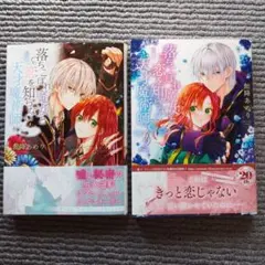 落ちこぼれ魔女と恋を知らない天才魔術師 1*2