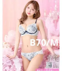 B70 ブラショーツセット レース 白 ネイビー ホワイト 三上悠亜 drw 紺
