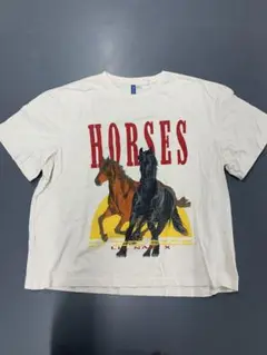 H&M LIL NAS X HORSES T SHIRT XL