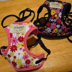 Item thumbnail for item 1fa3cdbc-6077-42b5-a1ef-e5d1553c0707