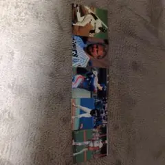 プロ野球選手カード　スケット