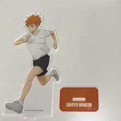 ハイキュー 日向翔陽 アクスタ