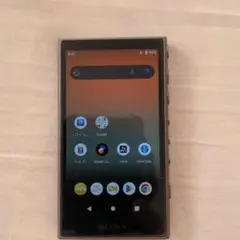 SONY WALKMAN NW-A105(おまけ付き)