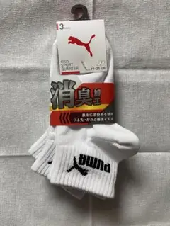 Item thumbnail for item 4831e5ba-ce77-442f-9dea-22c8d6741f33