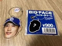 59 齋藤綱記　ビックフェイスワイヤーチャーム