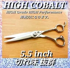 Item thumbnail for item 1763de74-055e-4484-8bb2-e8db22bc8425