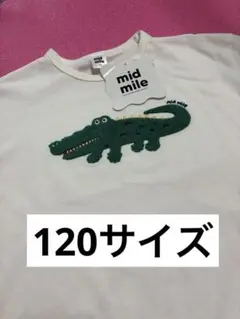 しまむら　むくぞー　midmile わに　Tシャツ
