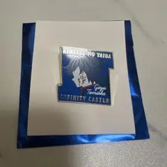 鬼滅の刃 無限城編　キャラクターモチーフピンズ第一弾　冨岡義勇