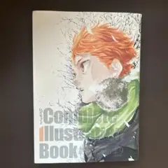 Complete Illustration Book