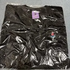 Item thumbnail for item 91e3da28-cf15-45bf-95a8-29fb2f2976b1