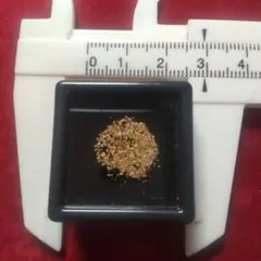 砂金　国産ナゲット　北海道産　石英入り 2025年最新】砂金ナゲットの人気アイテム - メルカリ