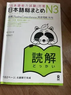 日本語総まとめ N3 読解