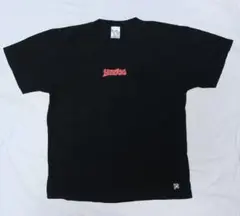 BiRDOG バードッグ ロゴ プリント ワッペン Tシャツ Lサイズ