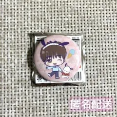 SEVENTEEN ドギョム サンリオ セブチ DK