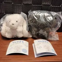 じょせまる ガチャ
