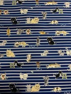 A14 生地　はぎれ　猫　ねこ　ネコ　にゃんこ　ストライプ　濃い青